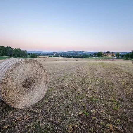 Cascina Mongianone Monferrato *